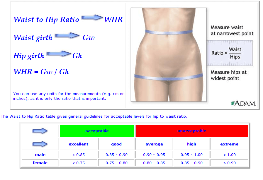 Your Waist-to-Hip Ratio Affects Your Health